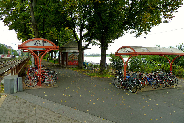 Cologne 2014 – Bicycle parking at a tram stop