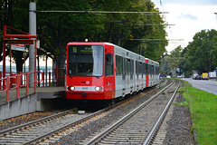 Cologne 2014 – Tram