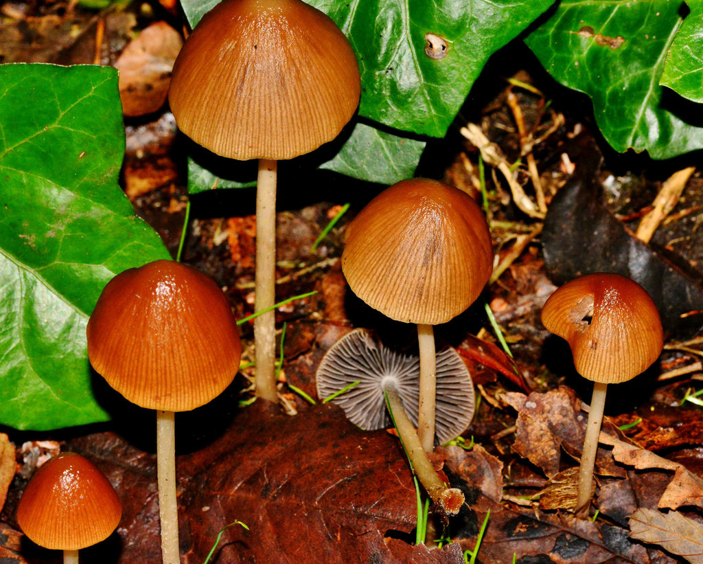 DSC 0057