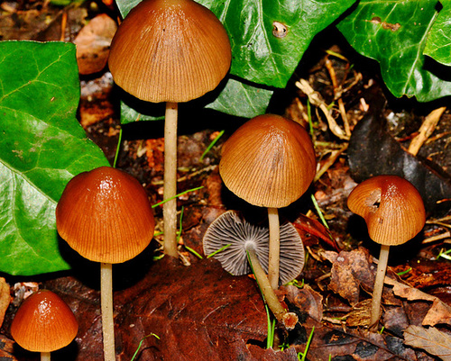 DSC 0057
