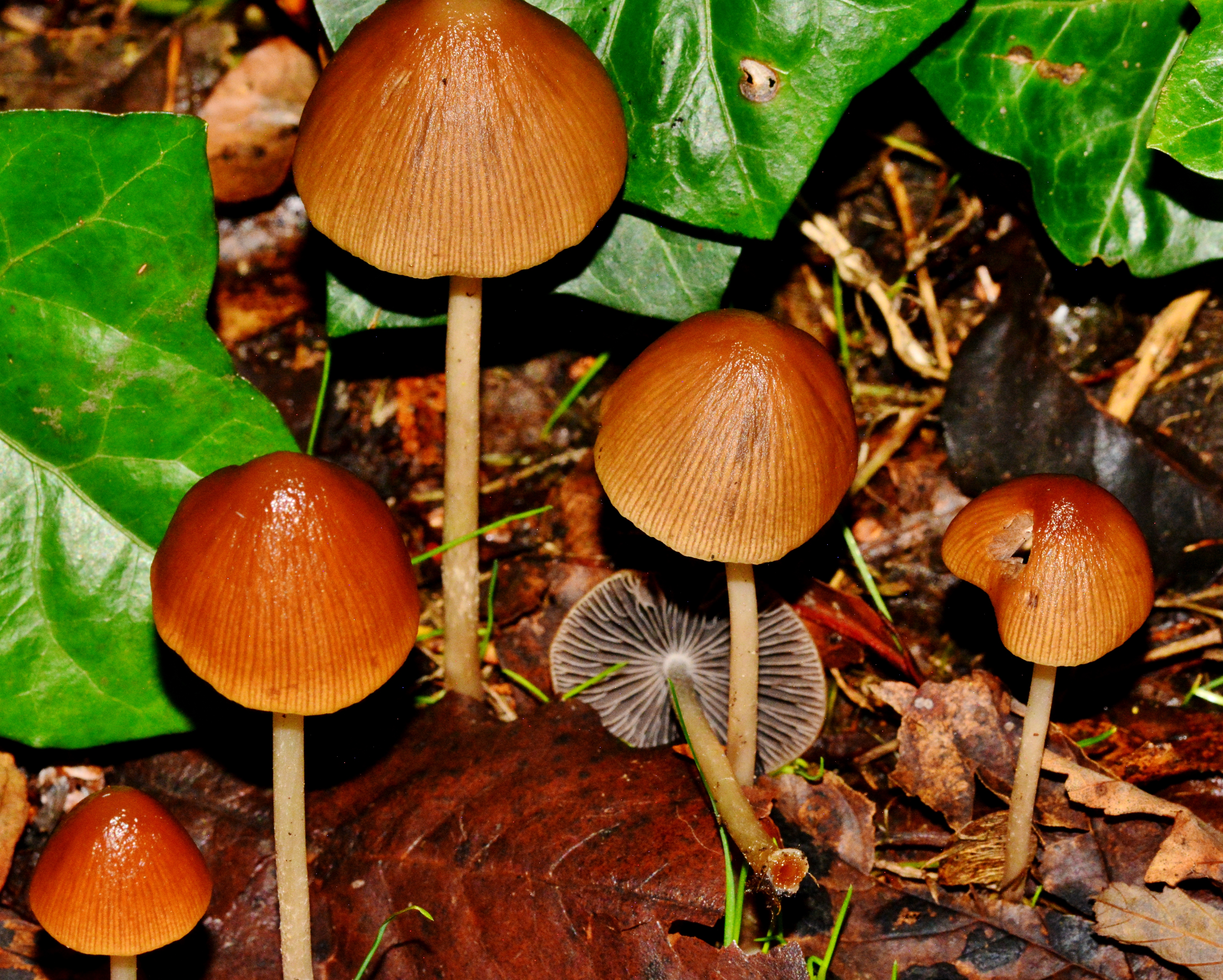 DSC 0057