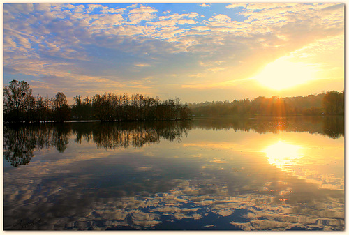 november light