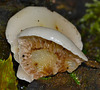 DSC 0122