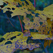 Farbspiele - Autumn Leaf