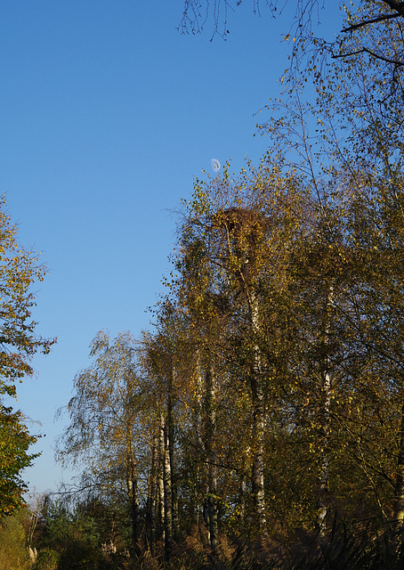 Parc des oiseaux