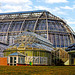 Berlin Dahlem. Botanischer Garten. Großes Tropenhaus. 201403