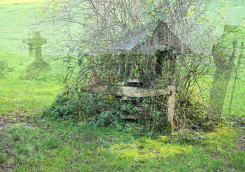 Maison d'halloween