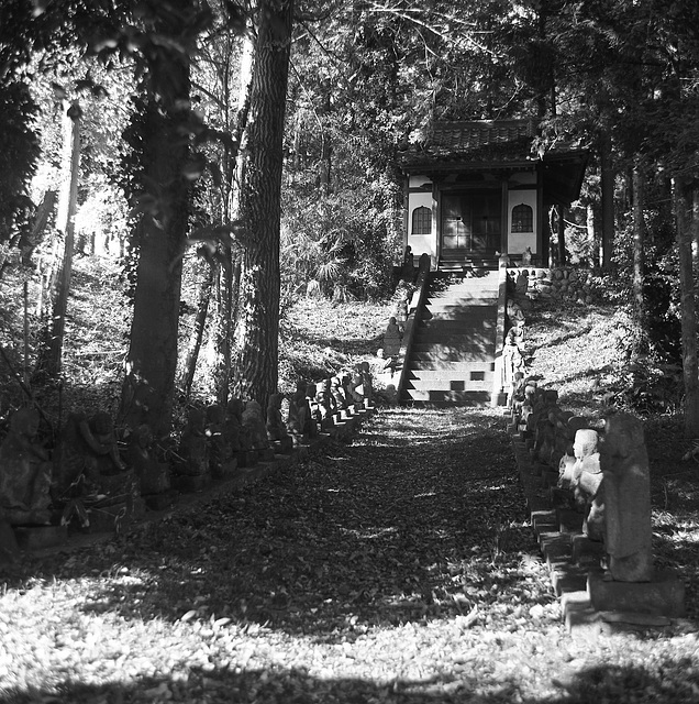 Shrine in the woods