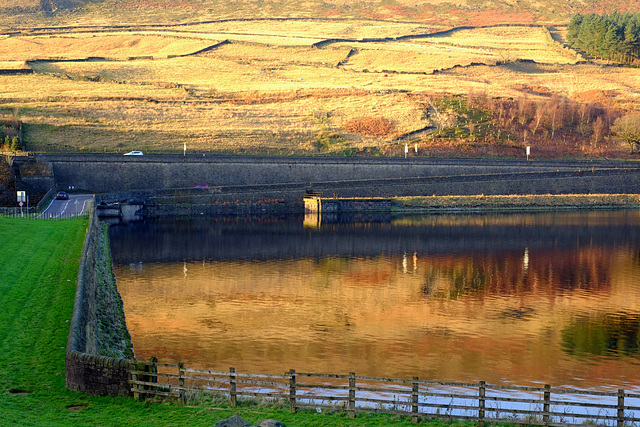 A Golden Pond