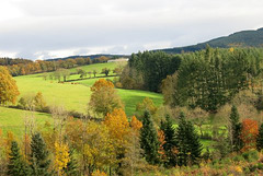 Lumières à Ronno (Rhône)