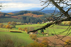 Du côté de Ronno (Rhône)