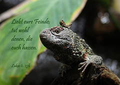 Spruchkarte 4/2015 - gedruckt