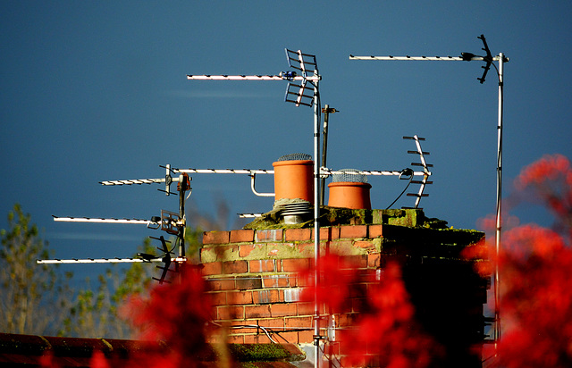 Autumn light on the chimney!