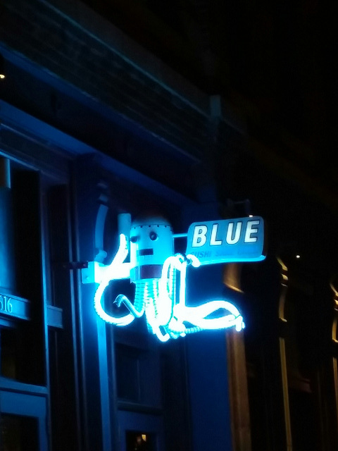 Blue Neon Octopus