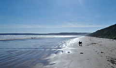 Waratah Bay on a spring evening