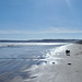 Waratah Bay on a spring evening