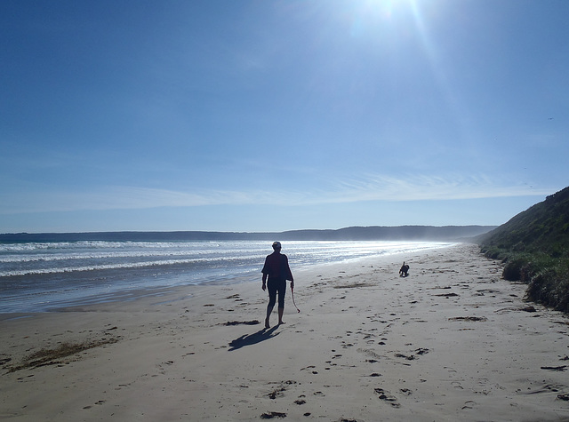 Waratah Bay on a spring evening