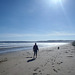 Waratah Bay on a spring evening