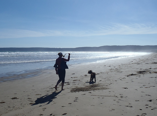 Waratah Bay on a spring evening