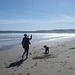 Waratah Bay on a spring evening