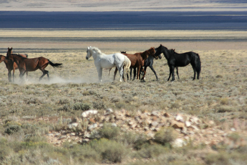 Kickin' some dust...