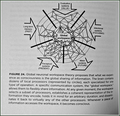 Dehaene and Changeux, 1998