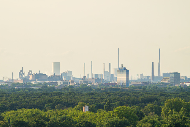 Duisburg Sechs-Seen-Platte DSC07276