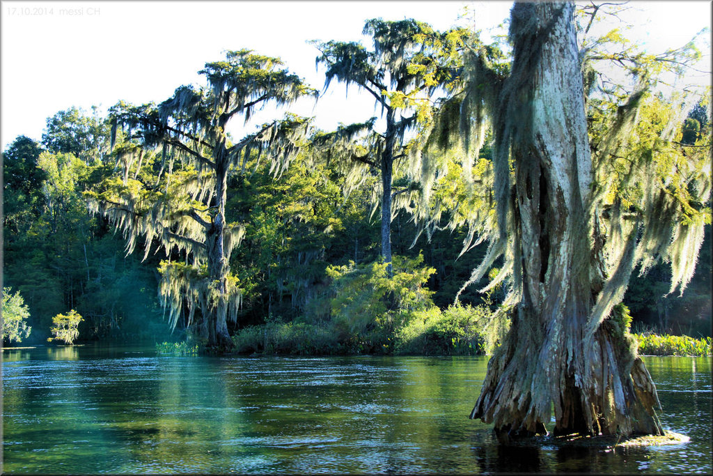 Wakulla Springs