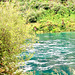 Waikato River 4