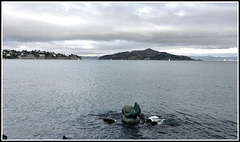 Water front, Sausalito