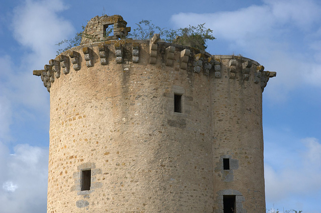 Château de la Prune-au-Pot