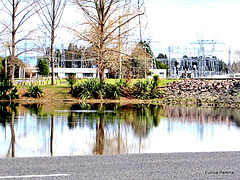 Reflections in Lake Whakamaru