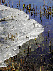 Unter der Eisdecke...  ©UdoSm