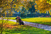 Herbstlicht - The Light of Fall (HBM)
