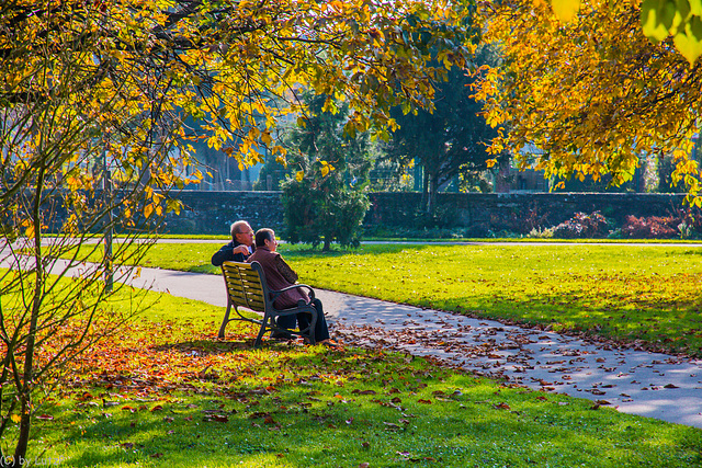 Herbstlicht - The Light of Fall (HBM)