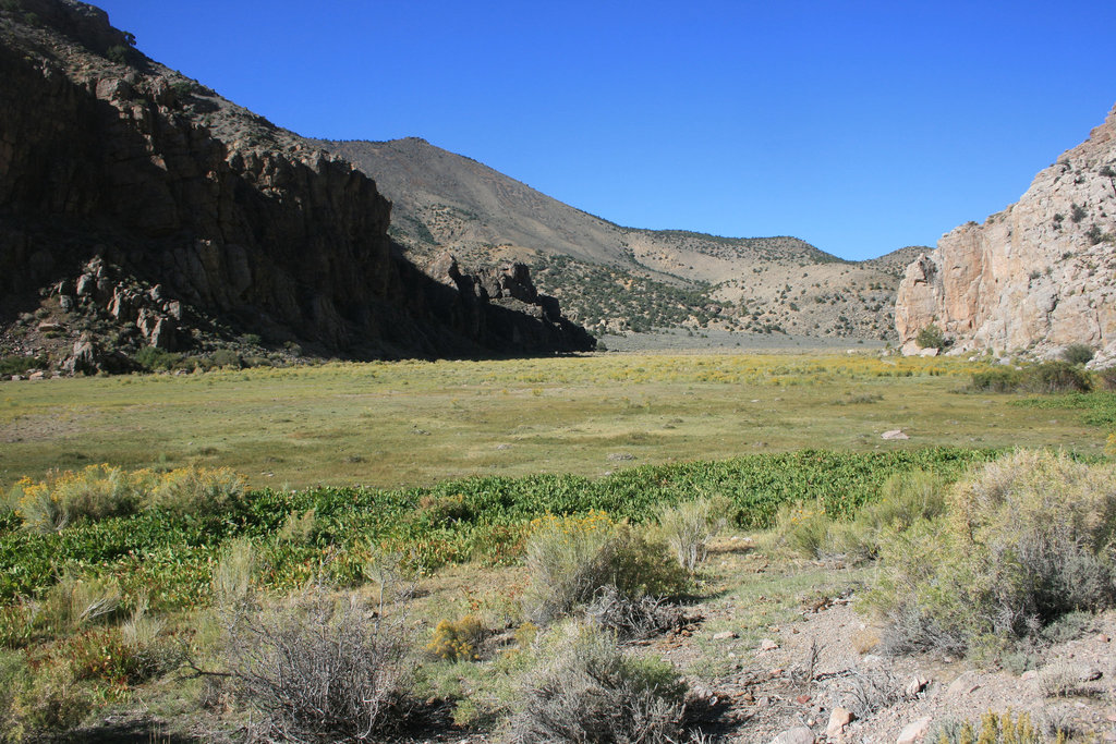 Hot Creek Canyon