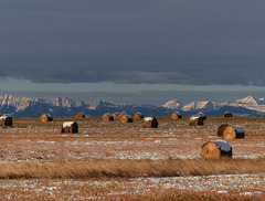 Snowy peaks, Chinook Arch, golden stubble - who needs more?