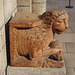 Lion in the Cloisters, October 2010