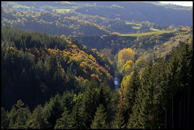 Paysage automnal
