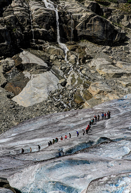 Nigardsbreen glacier walk.