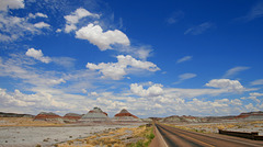 Petrified Forest/Painted Desert