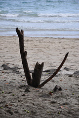 L ANSE ST MICHEL (2)