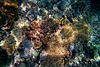 Nusa Lembongan
