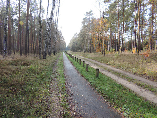 Rad- und Waldweg durch die Zossener Heide