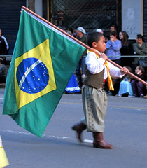 Brazila flago