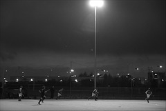 Fingal vs YM, Neville Cup 161114