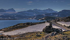 Sognefjellet