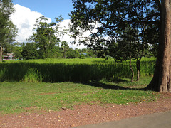 Sur la route de Pre Rup