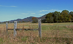 Fence and Foothills