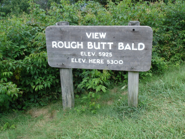 Rough butt bald view